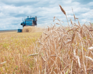 Влада замахнулась на рекордні 57 мільйонів тонн зерна