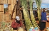 На Мадагаскарі гроші скріплюють степлером