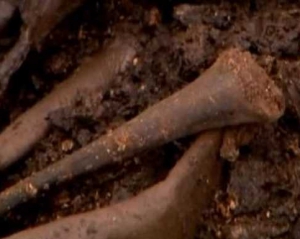 Древнейшую мумию нашли  в ирландском болоте