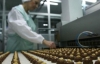 Казахстан не нашел никаких "грехов" в конфетах Порошенко