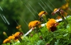 Тиждень в Україні почнеться з дощів у західних областях