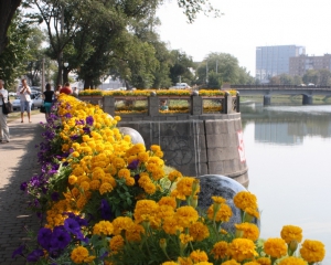 В Харькове создана самая длинная в мире композиция из живых цветов