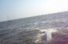 Опубликовано видео нападения российских пограничников на рыбаков