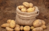 Дніпропетровських школярів нагодують "золотою" картоплею по 5,6 гривні за кіло