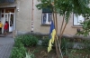 На Закарпатье неизвестные подожгли украинский флаг и повесили на дерево под офисом "Свободы"