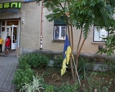 На Закарпатті невідомі підпалили український прапор та повісили на дерево під офісом &quot;Свободи&quot;