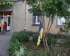 На Закарпатті невідомі підпалили український прапор та повісили на дерево під офісом "Свободи"