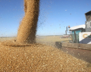 В России пожаловались, что из-за Украины обвалится  экспорт их зерна
