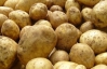Лучанин на картофеле зарабатывает до $1 тысячи за неделю