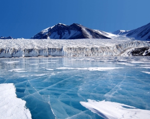 Ученые предрекли глобальное похолодание: площадь ледяного покрова океана увеличилась на 60%