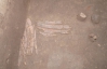 Костяной панцирь нашли на месте военного лагеря бронзового века