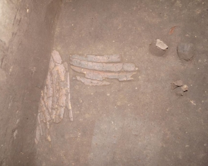 Кістяний панцир знайшли на місці військового табору бронзового століття