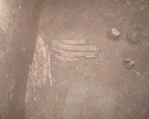 Костяной панцирь нашли на месте военного лагеря бронзового века