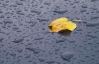 В Україні оголосили штормове попередження, будуть сильні дощі