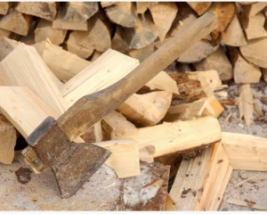 На Черниговщине школы будут отапливать дровами за счет детей