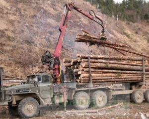 Українські екологи закликали приборкати діяльність &quot;шкідливих&quot; лісників