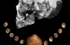 Ожерелье возрасте 42000 лет нашли в Ливане
