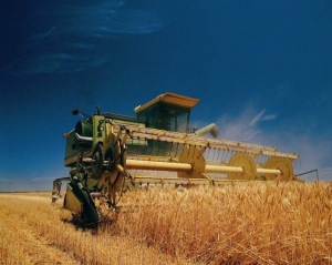  	 Рекордный урожай не поможет Украине: Мировые цены на зерновые до сих пор падают