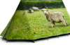 Креативні намети з принтами вівці, кавуна і північного сяйва - стильний кемпінг по-британськи