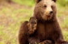 Россиянин, который поил медведя пивом, чуть не остался без руки