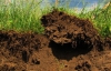 Украинцев хотят штрафовать за плохое качество почвы