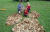 Тернопільська родина зібрала 112-кілограмовий врожай грибів