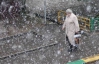 У Москві вже кілька днів падає мокрий сніг