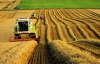 Економіку України тягтимуть  аграрії, а не металурги - прогноз