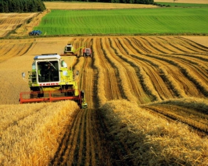 Економіку України тягтимуть  аграрії, а не металурги - прогноз