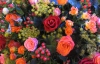 У Європі модно дарувати капусту, дрова та кріп, але українці віддають перевагу 101 троянді