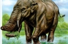 Доісторичні слони замість хобота мали дзьоб