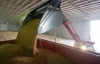 Украина не будет вводить ограничения на продажу зерна за границу