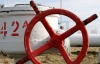 Україна може повністю відмовитися від російського газу - Азаров