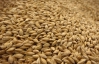 Украина, Россия и Казахстан создают общий зерновой комитет