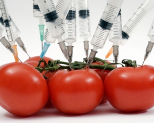 Власть хочет накормить украинцев ГМО-продуктами