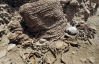 В Перу обнаружили две обмотанные веревками мумии