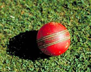 Гравець в крикет помер після влучання м&#039;яча в голову