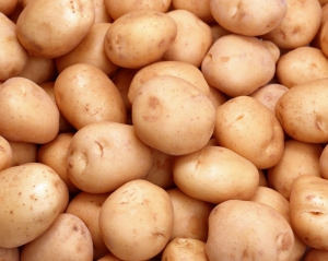 Українські фермери готові різко підняти ціни на картоплю