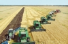 Законопроект "регіонала" може вдарити по українських аграріях - експерт