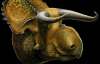 Динозавра с бычьими рогами обнаружили в США