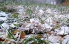 З 25 листопада в Україні почнуться снігопади