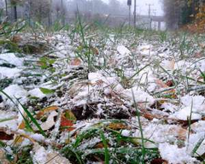 С 25 ноября в Украине начнутся снегопады