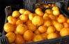 В Киев с Турции везли зараженные мандарины