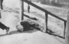 Люди умирали прямо на обочинах - ужас Голодомора глазами австрийского инженера Винербергера