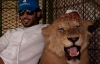 Миллиардер из ОАЭ плавает в бассейне с тиграми и дает им погулять на своих Ferrari