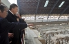 Поки в Україні революція, Янукович у Китаї розгулює по музеях
