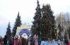 Луцкую новогоднюю елку украсят символикой ЕС - мэр