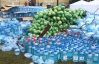Наряжание елок на Майдане, Карпа і запасы води