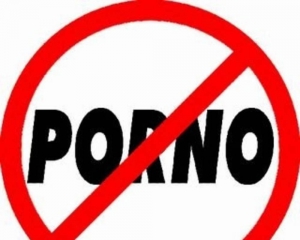 Обвиняемого в распространении порнографии евромайдановца вызвали на допрос