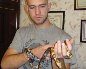 Удава на подарунок можна купити за 400 гривень